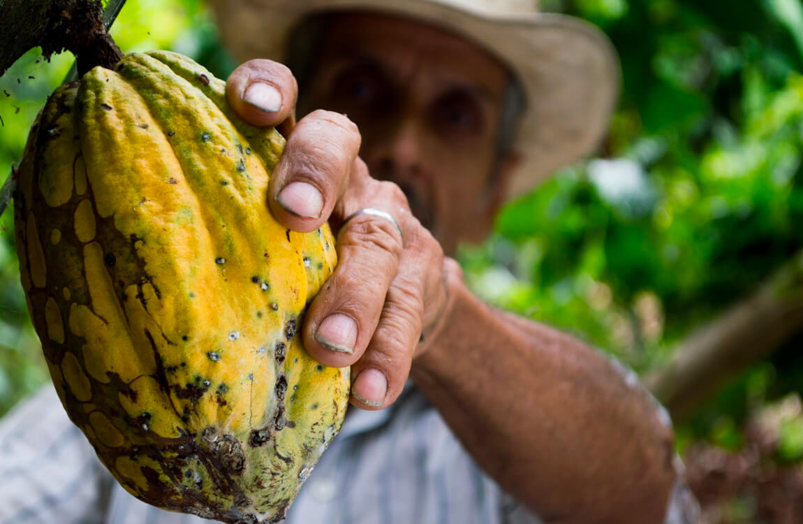 Histoire Magasin Voisin Chocolats